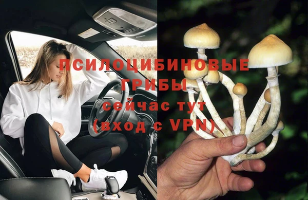 a pvp Алзамай
