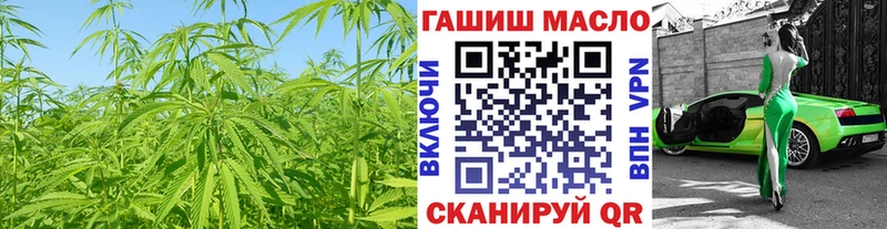 купить наркотик  сайты даркнета телеграм  ТГК концентрат  Аргун 