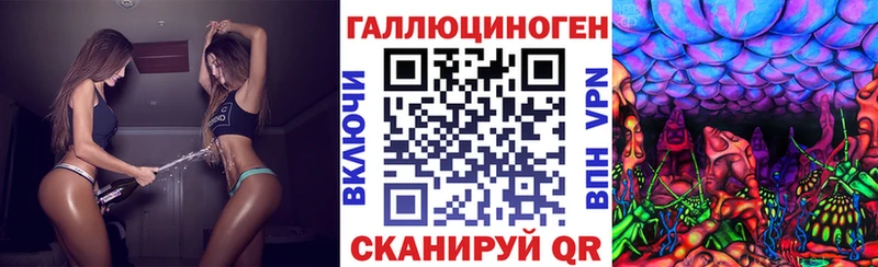 Псилоцибиновые грибы Cubensis  наркотики  hydra ТОР  Аргун 