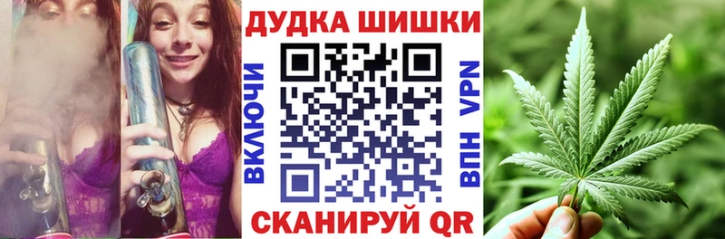 Бошки Шишки план  Аргун 